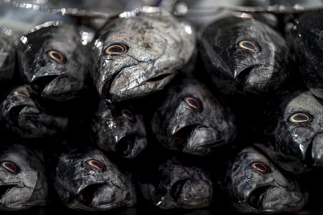 5-alimentos-contaminados-en-supermercados