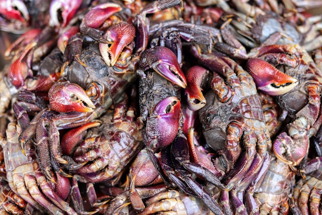 5-alimentos-contaminados-en-supermercados