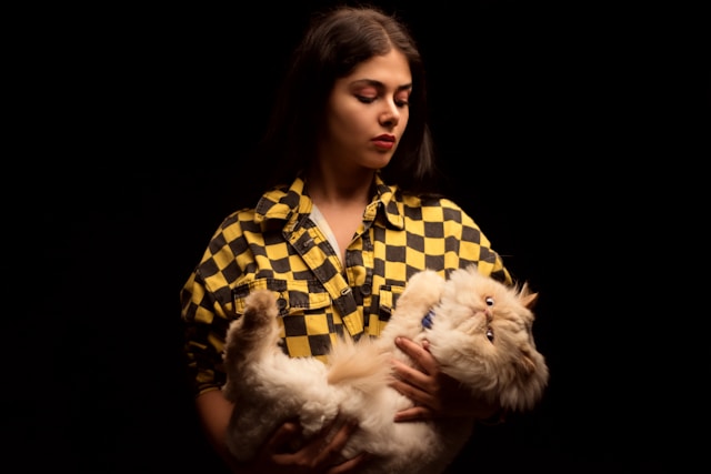 los-5-gatos-ms-sociables