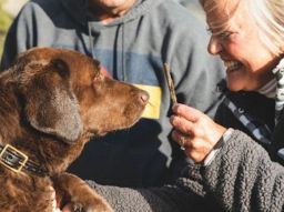 5-razas-de-perro-perfectas-para-las-personas-mayores